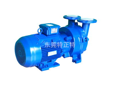 旋片真空泵 原理、特點與應用